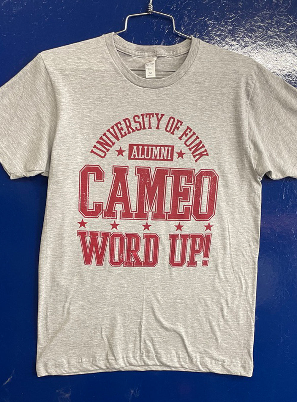CAMEO UNIVERSITY OF FUNK Heather Grey Tee